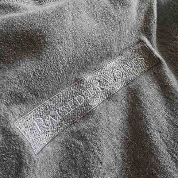 Raised by Wolves Box Logo Hooded Sweatshirt - 2018 - Heather Grey - Sz S - Picture 4 of 11